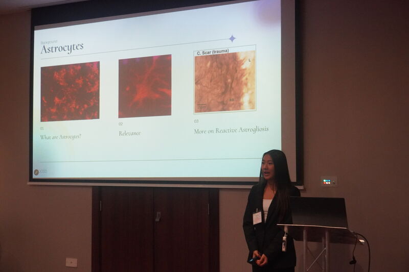 EECSS 2026 | August 16 - 18, 2026 | London, United Kingdom